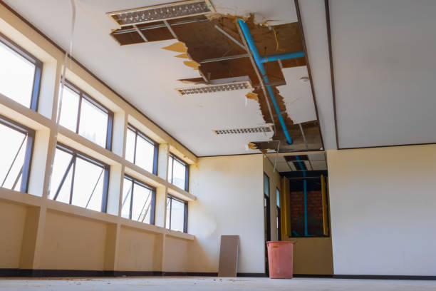 Best Professional water damage repair  in Riverview, DE