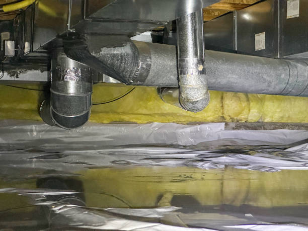 Best Water damage mitigation services  in Riverview, DE