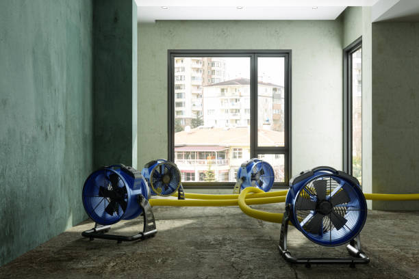 Best Commercial water damage restoration  in Riverview, DE